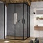 Ravak Blix Slim - Porte de douche, 900x1950 mm, noir/verre clair X1XM70300Z1