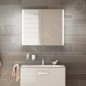 Keuco Royal Match - Armoire miroir avec éclairage LED, 650x700x160 mm, alu elox argenté 12801171311