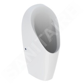 Geberit Urinoirs - Urinoir Tamina, sans eau, blanc 116.141.00.1