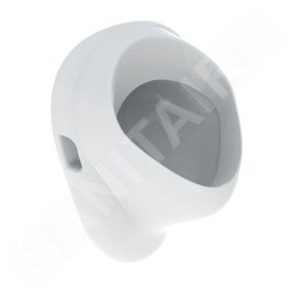 Geberit Urinoirs - Urinoir, arrivée d'eau arrière, blanc 502.895.00.1