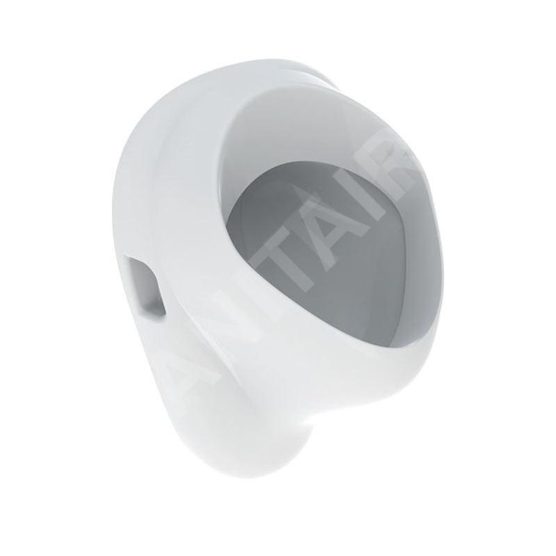Geberit Urinoirs - Urinoir, arrivée d'eau arrière, blanc 502.895.00.1