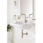 Grohe Essentials - Verre avec poignée, nickel brossé 40447EN1