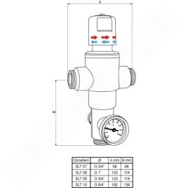 Sanela Accessoires - Vanne mélangeuse thermostatique 6/4“ SLT 10