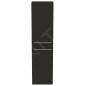 Ideal Standard i.Life S - Armoire haute 400x210x1600 mm, 2 portes G / D, gris mat carbon T5288NV