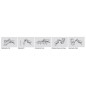 Sapho Douches - Douchette de bidet, chrome BS616