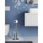 Sapho Accessoires de salle de bains Gedy - Porte papier-toilette et brosse WC, chrome 143213