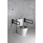 Sapho Équipement de salle de bain - Poignée, longueur 81 mm, noir XH540B