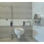 Sapho Équipement de salle de bain - Poignée en forme U 600 mm, inox XH538