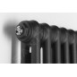Sapho Fede - Sèche-serviettes, 490x1500 mm, 1071 W, noir mat IR193
