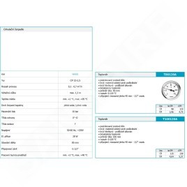 Novaservis Matériel de plomberie - Thermomètre 80 mm, 1/2", axial T80120A