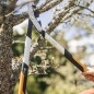 FISKARS Outils de jardinage - Coupe-branches, taille M 1020187