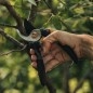 FISKARS Outils de jardinage - Sécateur traditionnel pour arbustes 1057162