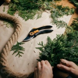 FISKARS Outils de jardinage - Sécateur traditionnel pour arbustes 1057169