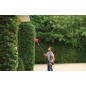 BLACK+DECKER Outils de jardinage - Taille-haie télescopique 51 cm, 550 W PH5551-QS