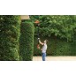 BLACK+DECKER Outils de jardinage - Taille-haie télescopique 51 cm, 550 W PH5551-QS