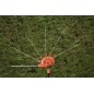 BLACK+DECKER Outils de jardinage - Taille-haie télescopique 51 cm, 550 W PH5551-QS