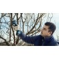 Bosch Outils de jardinage - Sécateur sans fil 12V, 2 batteries 3.0 Ah, chargeur 06019K1021