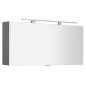 CLOE miroir armoire incl. Lumière LED, 120x50x18cm, chêne argenté