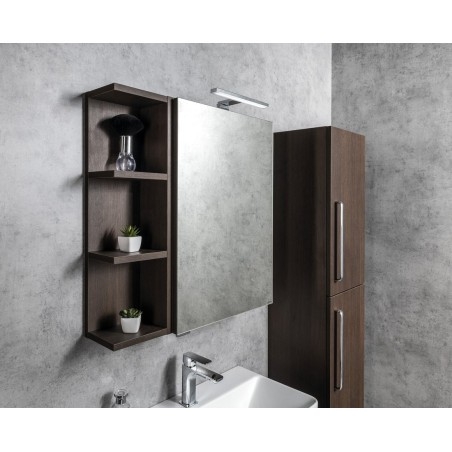 RIWA miroir armoire incl. Lumière LED, 50x70x17cm, chêne argenté