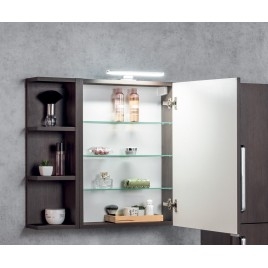 RIWA miroir armoire incl. Lumière LED, 50x70x17cm, chêne argenté