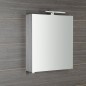 RIWA miroir armoire incl. Lumière LED, 50x70x17cm, chêne argenté