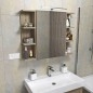 RIWA miroir armoire incl. Lumière LED, 50x70x17cm, chêne argenté
