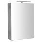 RIWA miroir armoire incl. Lumière LED, 50x70x17cm, chêne argenté
