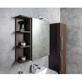 RIWA miroir armoire incl. Lumière LED, 50x70x17cm, chêne argenté
