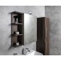 RIWA miroir armoire incl. Lumière LED, 50x70x17cm, chêne argenté