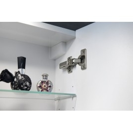 RIWA miroir armoire incl. Lumière LED, 50x70x17cm, chêne argenté