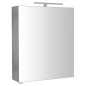 RIWA miroir armoire incl. Lumière LED, 60x70x17cm, chêne argenté