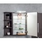 RIWA miroir armoire incl. Lumière LED, 60x70x17cm, chêne argenté