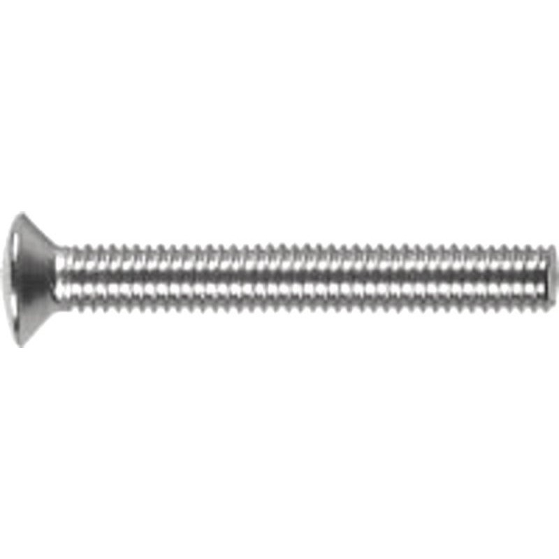 Vis M6x100mm, acier inoxydable