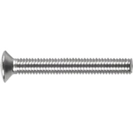 Vis M6x100mm, acier inoxydable