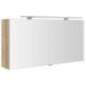 CLOE Armoire miroir avec éclairage LED 100x50x18cm, chêne Alabama