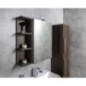 RIWA miroir armoire incl. Lumière LED, 50x70x17cm, chêne Alabama