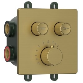 SMARTSELECT robinet de douche caché, boîte, 2 sorties, tapis d'or