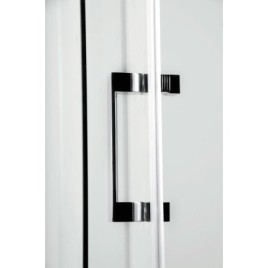 DRAGON Porte de douche 1700mm, verre clair