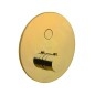 Paffoni Compact Box - Mitigeur de douche thermostatique encastré, or CPT013HG