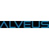 Alveus